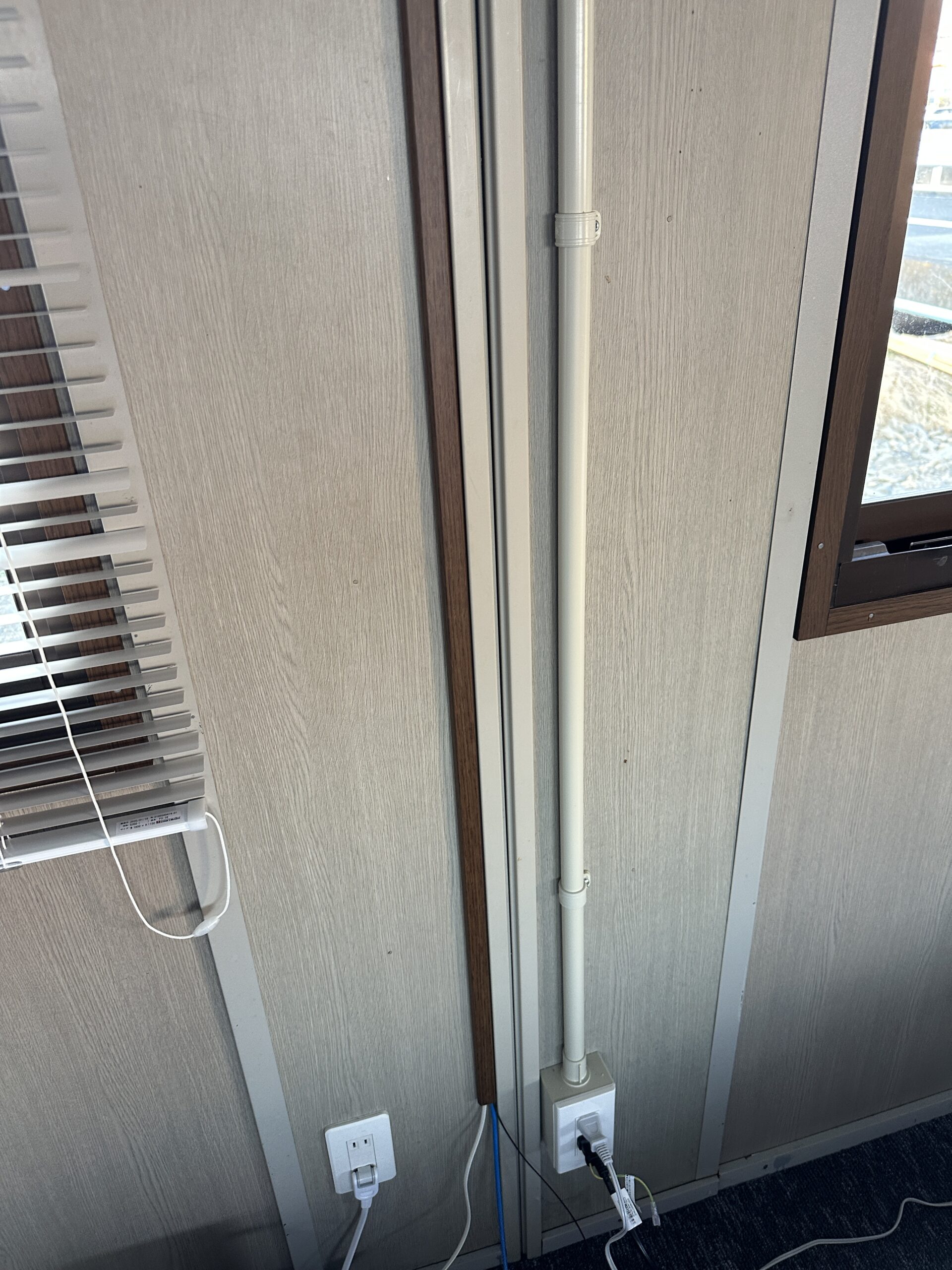 追跡補償付き匿名発送 進化設計図 プロモ 初期ホイル統一 4枚セット 追跡補償付き匿名発送 進化設計図 プロモ 初期ホイル統一 4枚